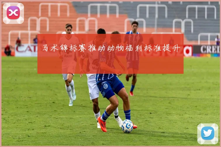 马术锦标赛推动动物福利标准提升