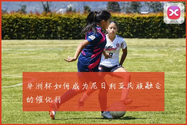 非洲杯如何成为尼日利亚民族融合的催化剂