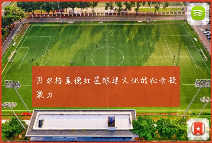 贝尔格莱德红星球迷文化的社会凝聚力