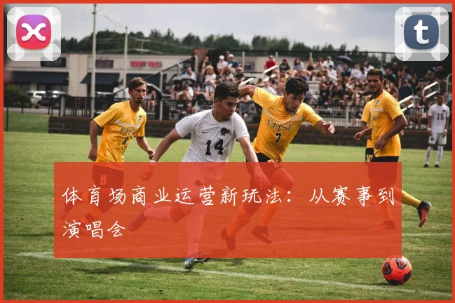 体育场商业运营新玩法：从赛事到演唱会