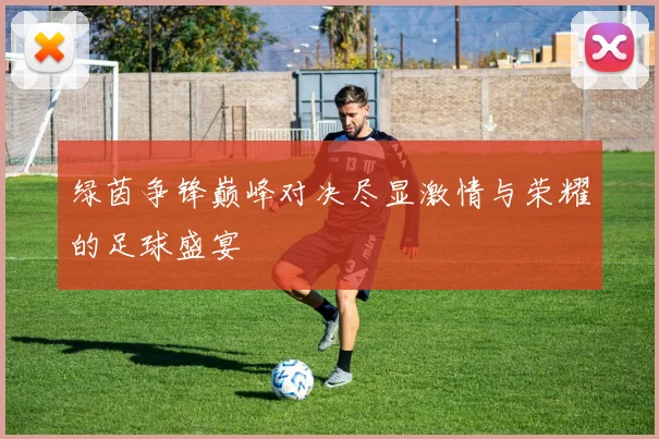 绿茵争锋巅峰对决尽显激情与荣耀的足球盛宴