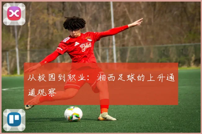 从校园到职业：湘西足球的上升通道观察