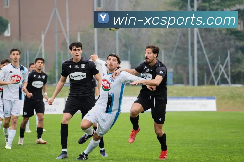 杏彩APP 高清赛事图